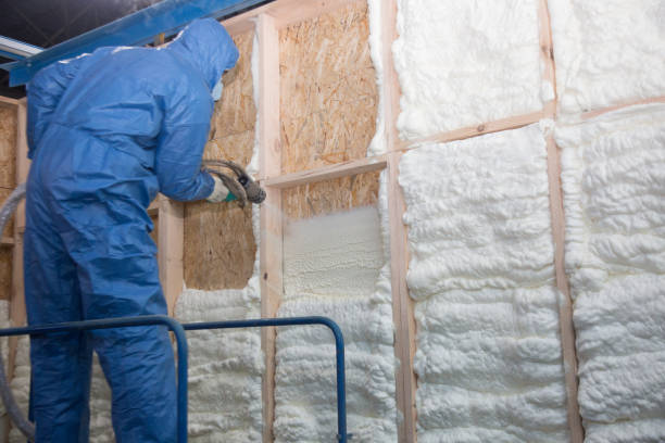 Best Pipe and Duct Insulation  in Westchester, IL